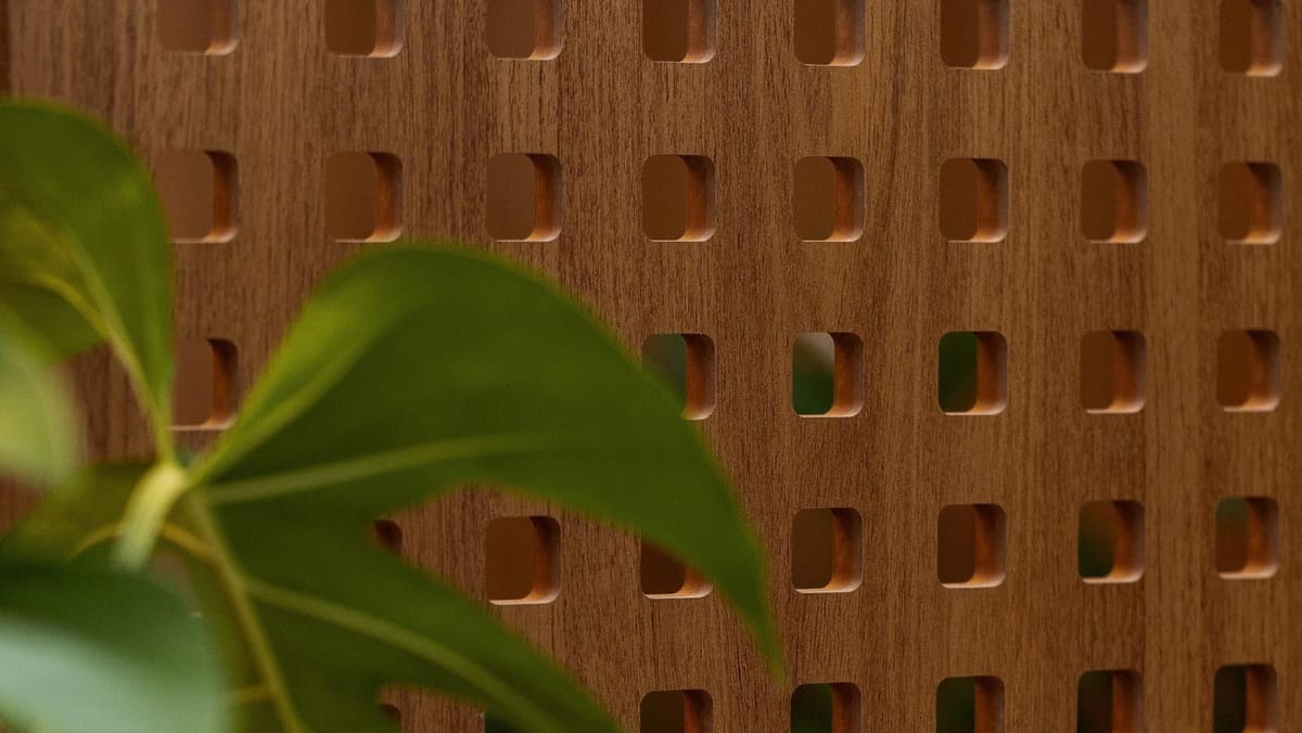 Perforated wood panel seen up close behind a leaf